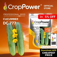 (100 GRAM) Biji Benih Timun Black Steel 铁金刚 DC777 CROP POWER F1 Hybrid Cucumber Seeds 黄瓜种子 DC 777