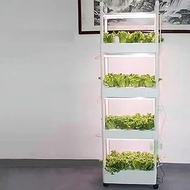 CIADAZ Herb garden kit,hydroponic growing kits &amp; systems,Hydroponics Tower with LED Grow Light,indoor garden hydroponic growing system,for Herbs, Fruits and Vegetables. (Size : Three layer)-1PC