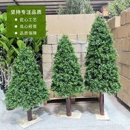 Decoration Christmas Tree Hotel Cypress Potted Plant Fake Home Simulation Decoration Small Tree Pine
