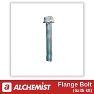Universal 6x35 K8 Flange Bolt for All Brands / Universal 6x35 K8 Flange Bolt for Automatic Motorcycl