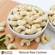 500gram Nutty Lover Premium RAW Cashew Vietnam Nut