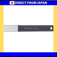 Takagi Diamond File L