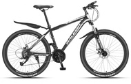 Raleigh Mountain Bike MTB Bicycle GT800