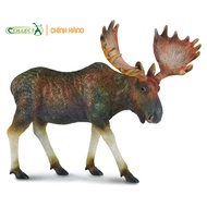 Animal model: Elk (Genuine)
