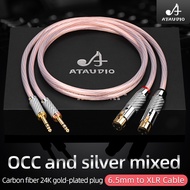 HIFI 6.5mm TRS to XLR microphone cable OCC silver mixed xlr balance to 6.35mm mixer to connect power