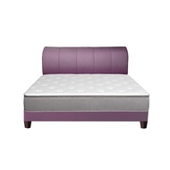 Premium Designer Divan Bed A (Choice of Colours) (2 Years Warranty)