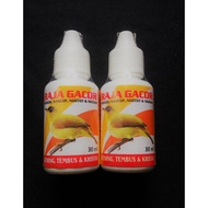 King Gacor For Birds ap