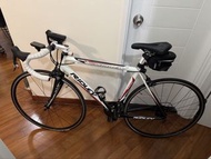 Ridley Icarus SLS 公路車