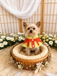 寵物功能性圍巾