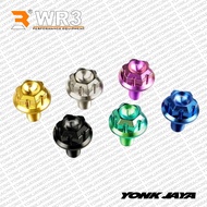TITANIUM STEERING BOLT WR3 TRIANGLE NINJA 250FI UK.16