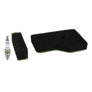 <ANME>For Honda Generator Maintenance Tune-Up Kit: Filters & Spark for EU2000i