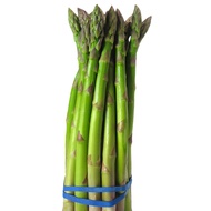 [RG015] Biji Benih Asparagus Hijau / Asparagus Green Wand Seeds