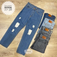 Ripped Boyfriend Jeans / Ripped DIVARY Jeans / Women's Boyfriend Jeans