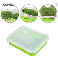 CAMELLI  Sprouter Tray Outdoor Indoor Hydroponic Tray Soilless Cultivation Sprout Pot