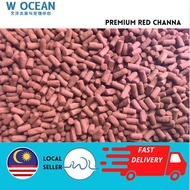 Premium Red Channa | Makanan Channa Colour Enhance 30g 雷龙料