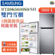 RT29K5030S9/SH 雙門雪櫃 300L 精鑄不鏽鋼（香港行貨）