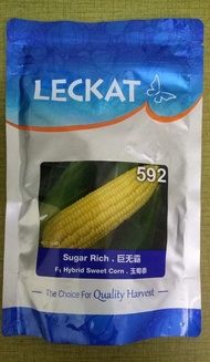 Benih Jagung Manis/Sweet Corn Leckat SUGAR RICH 592 Hibrid F1 (500gm)