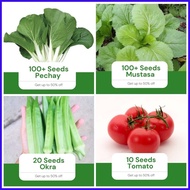 ✿ ▬ Sale All in 4 in 1 Pack Seeds (Pechay, Mustasa, Okra, Kamatis) Vegetable Garden Pot Outdoor Pla