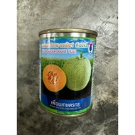 20g Benih Melon MADAM ORANGE TA242 / Cantaloupe Madam Orange TA242 / Cap Known-You Seed