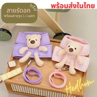 ️Cat Leash Dog Cat Harness Teddy Bear