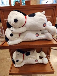 日本正版 Snoopy 公仔  snoopy 日本  usj  usj代購 日本環球影城 日本代購   日本環球影城代購 日本usj代購 史路比 日本snoopy代購 usj 公仔 日本snoopy 