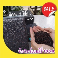 Riceberry ข้าวไรซ์เบอร์รี่ 100% / จมูกข้าว ขนาด 1 กก. แพคสุญญากาศ ปลอดสาร