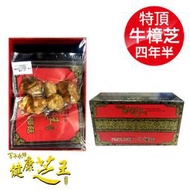 百年永續健康芝王 (四年半乾燥) 特頂大球菇牛樟芝/菇 乾燥品-11g x1兩 專品藥局