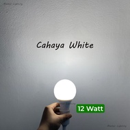 CAHAYA 12 watt led bulb with e27 fitting, white light bulb