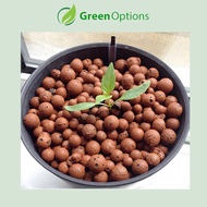 ▥✎✇Hydroton Clay Pebbles for Hydroponics