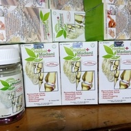 Promo Herbal Madani Obat Reumatik, Asam Urat, Sakit Pinggang & Kolesterol Terlaris