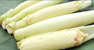 Sayur terubuk 500gr/terubuk/terubus/telor tebu/kembang tebu/kembang tebu endog