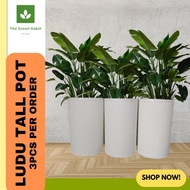 TGH Ludu Tall Pots (3PCS) – Premium White Planters for Home & Garden Spaces Plant Pot Flower Pot