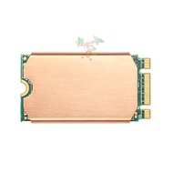 Heatsink Ssd M.2 Nvme M.2 Sata 2242 Cooling Steam Deck Laptop Cooler M2