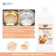 BIG+ Natureclean Premium Dish Soap (1000ml) Dishwashing Liquid Natural Ingredients Biodegradable Sab