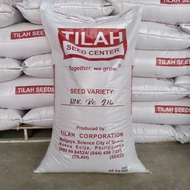 ♞,♘,♙,♟Palay Seeds Binhing Palay Rice  Seeds authorized dealer of Tilah Seeds 40kilos Binhi Inbred