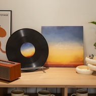 Dopamine Vinyl Record Poster Wall Decoration Shop Bar Cafe Background Wall Decoration