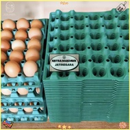 Egg Tray Egg Basket Plastic Egg Rack Tray 30 Eggs Plastic Egg Rack Egg Tray Egg Crates New