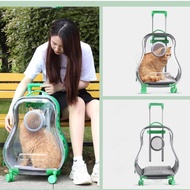FREE GIFTS PET STROLLER SUITCASE KOPER HEWAN ANABUL PELIHARAAN