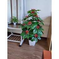 Fake Tree - Cherry tree - honeysuckle tree 80cm high (POT NOT INCLUDED)