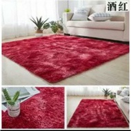 Mat/entrance mat/toilet mat/room mat/small carpet