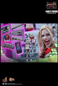 （有植髮）二手Hottoys MMS383 自殺突擊隊 小丑女Harley Quinn 普通版