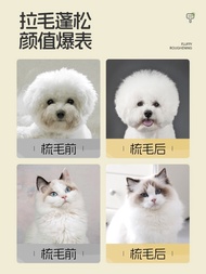 Cat Brush Hair Brush Pet Hair Brush Special Dog Hair Cat Air Cushion Needle Comb Teddy Bichon Dog Fl