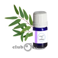 100% Pure Essential Oil - Eucalyptus Blue Gum