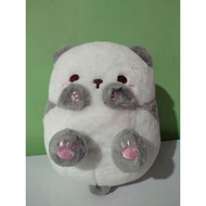 White Grey Cat