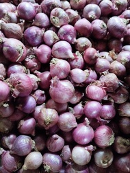 Bawang Merah Batu Grader 1 / Impor India dan Berry Padang 1 KG BAGUS DAN KULIT KERING