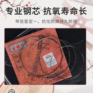 Alice Liuqin Strings AT701 High Carbon Steel Wire Core Light Strings Ethnic Musical Instruments Loos