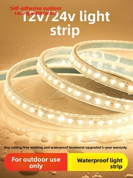 FANYAO | Waterproof LED Light Strip 12V/24V