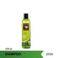 Herborist Shampoo Zaitun 250ml Herborist Shampoo Aloe Vera 250ml Herboris POV Store