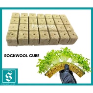 ROCKWOOL HYDROPONIC / AQUAPONIC