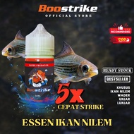 Essen Umpan Mancing Ikan Nilem Wader Unjar Lunjar Melem Paling Jitu Pancing Lele